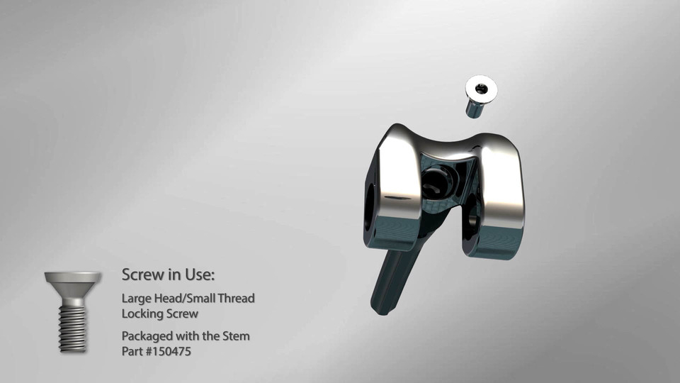 OSS™ Implant Assembly with Locking Screws